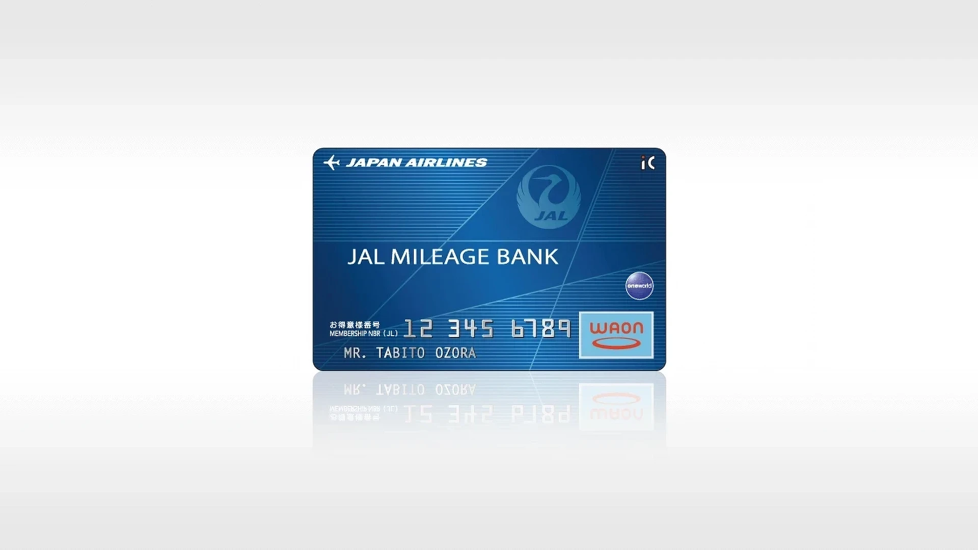 JALマイルニューヨーク行きの基本とPLUS活用術エコノミー